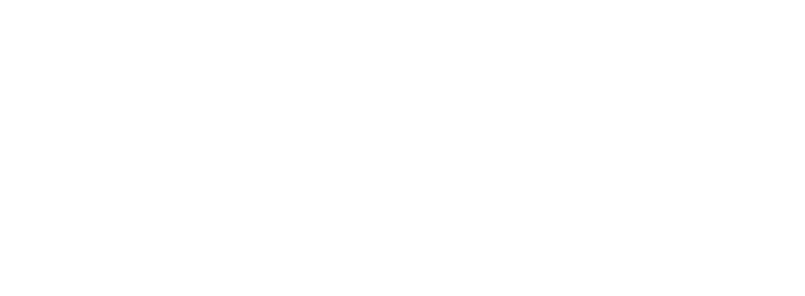 Portage Bay Solutions Logo